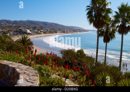 Une vue spectaculaire à la recherche au sud, le long de la côte à Laguna Beach en Californie avec l'Aloe Vera et de palmiers sur la falaise Banque D'Images