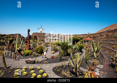 Moulin à vent et les cactus, jardin botanique Jardin de cactus, architecte Cesar Manrique, Guatiza, Lanzarote, Canaries, Espagne, Eur Banque D'Images