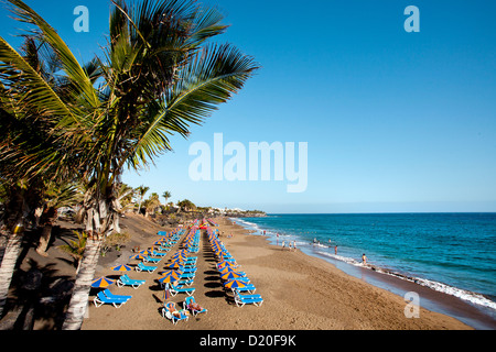 Plage de Playa Blanca, Puerto del Carmen, Lanzarote, Canary Islands, Spain, Europe Banque D'Images