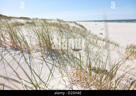 Vu de la mer Baltique à travers les dunes de Leba, réserve mondiale de la biosphère de l'UNESCO, le Parc National Slowinski, côte de la Mer baltique polonaise, Leb Banque D'Images
