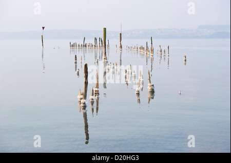 Lac de Constance en hiver, près de Überlingen, Baden-Wurttemberg, Allemagne Banque D'Images