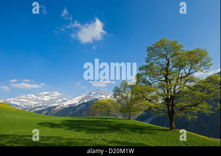 Au printemps le col du Klausen, Unterschachen, Canton d'Uri, Suisse Banque D'Images