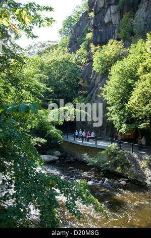 Piste de marche en vallée de Bode, Thale, Harz, Saxe-Anhalt, Allemagne Banque D'Images