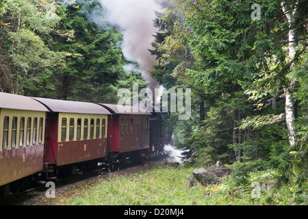 Forêt, fer à vapeur, chemins de fer, à voie étroite Brockenbahn, Schierke, Harz, Saxe-Anhalt, Allemagne Banque D'Images