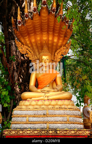 Statue bouddhiste de Wat Si Muang, Vientiane, Laos, Indochine. Banque D'Images