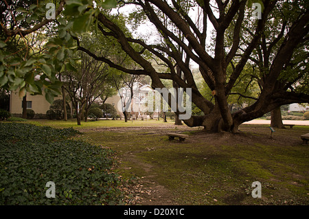 Jardin Classique, Chambre de Luxe, Changning District, Shanghai, Chine Banque D'Images