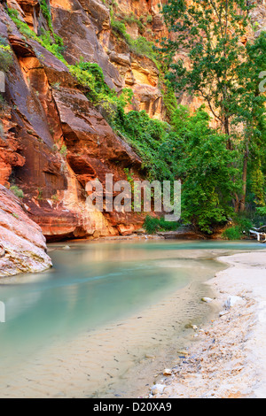 Virgin River dans le parc national de Zion, Utah, USA, sud-ouest Banque D'Images