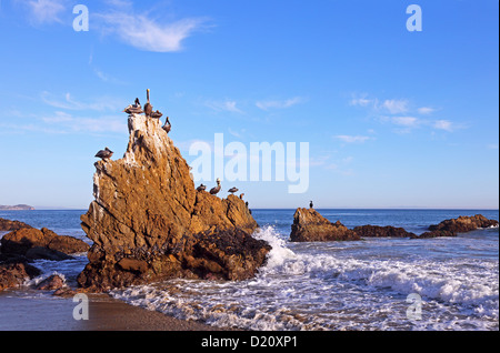 El Matador, Pelikane Beach, Malibu, CA, USA Banque D'Images