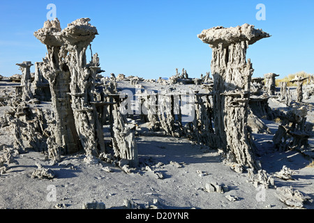 La plage de sable de la Marine, tuf, Mono Lake, l'Est de la Sierra, CA, USA Banque D'Images