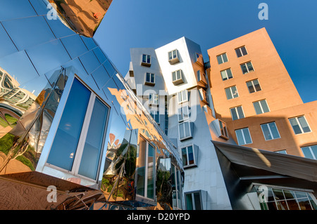 Vue sur la plage dynamique élevée du Gehry conçu Stata center du Massachusetts Institute of Technology, Cambridge, MA Banque D'Images