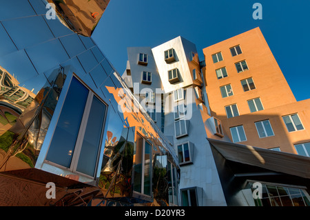 Frank Gehry's Stata center à l'Institut de technologie du Massachusetts Banque D'Images