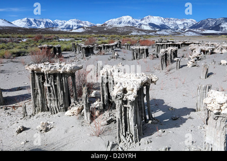 La plage de sable de la Marine, tuf, Mono Lake, l'Est de la Sierra, CA, USA Banque D'Images