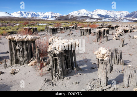 La plage de sable de la Marine, tuf, Mono Lake, l'Est de la Sierra, CA, USA Banque D'Images