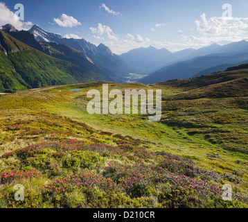 Vue de la vallée en direction de Pfitsch Oberberg, Tyrol du Sud, Italie Banque D'Images
