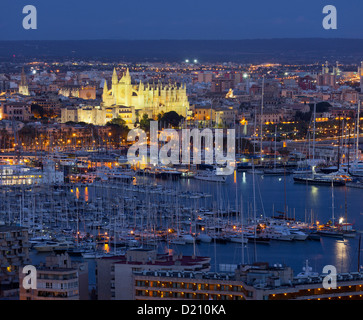 La Seu, la cathédrale de Santa Maria de Palma, Palma de Mallorca, Majorque, Espagne Banque D'Images