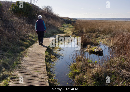 Femme marche sur un trottoir de bois sur un terrain boueux de section Isle of Anglesey côte autour de Red Bay Wharf North Wales UK Banque D'Images