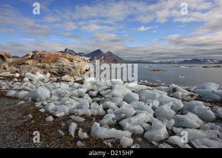 Pack de glace sur la plage, Hornsund, Spitzberg, Norvège, Europe Banque D'Images