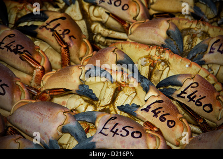 Des crabes fraîchement pêchés et d'un prix allant jusqu'à vendre Banque D'Images