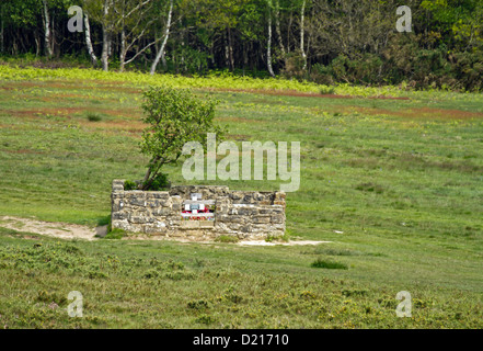 La Tombe de l'aviateur sur Ashdown Forest Banque D'Images