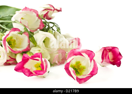 Bouquet de fleurs de lisianthus rose sur fond blanc Banque D'Images