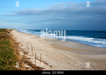 Canaveral National Seashore tôt le matin. Banque D'Images