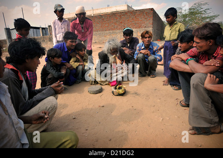 Gypsy charmeur de serpent en Inde. Banque D'Images