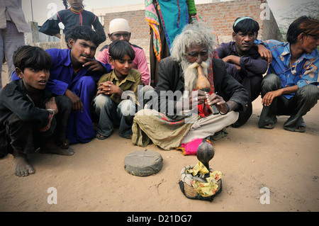 Gypsy charmeur de serpent en Inde. Banque D'Images