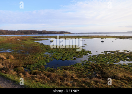 Le terrain près de Kalo, Aarchus château logement région, Danemark Banque D'Images