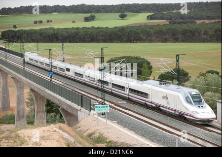 Former,ave, rail, Espagne, Madrid, fer, fer à repasser, transports, voyager, vitesse, moderne, la Renfe, rail, viaduc, Talgo, accès haut débit Banque D'Images