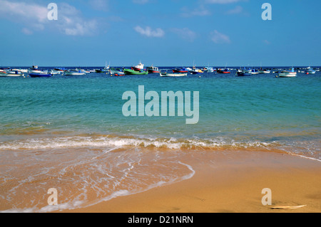 Plage et Port San Andres de Teresitas à la partie nord-est de Tenerife, dans l'Espagne, les îles Canaries. Banque D'Images