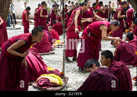 Les moines bouddhistes du débat dans le jardin de monastère de Séra, Lhassa, Tibet Banque D'Images