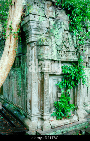 Le mystérieux et envahi par temple de Beng Meala près de Angkor Wat, Siem Reap, Cambodge, Indochine. Banque D'Images