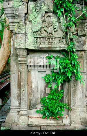 Le mystérieux et envahi par temple de Beng Meala près de Angkor Wat, Siem Reap, Cambodge, Indochine. Banque D'Images