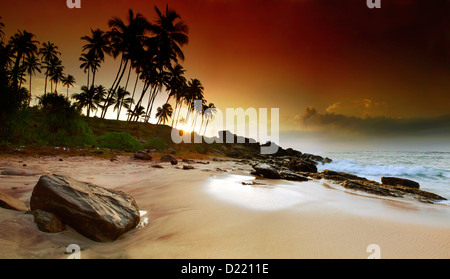Très beau lever de soleil éclatant sous le coconut plams sur Sri Lanka beach. Photo panoramique Banque D'Images