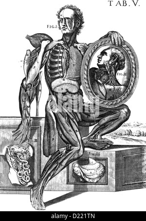 ANDREAS VESALIUS (1514-1564) anatomiste flamand. Schéma montrant les ventricules du cerveau de son De humani corporis fabrica de 1543 Banque D'Images