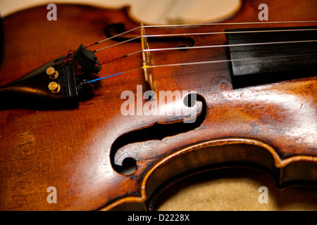 Violon de près Banque D'Images