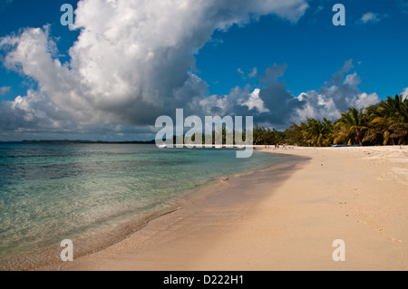 Petite île de Nosy Be l'île aux Nattes (OTAN), au large de Madagascar. De sable blanc, bleu Sly, palmiers, mer d'émeraude. Banque D'Images