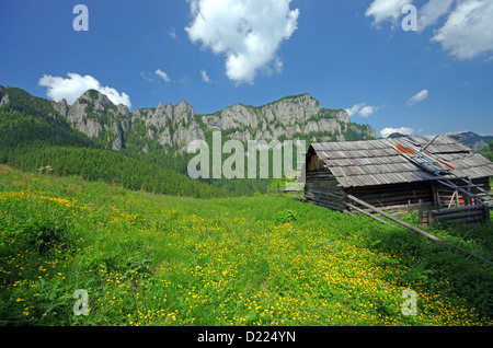 Ancienne bergerie en bois sur une montagne Banque D'Images