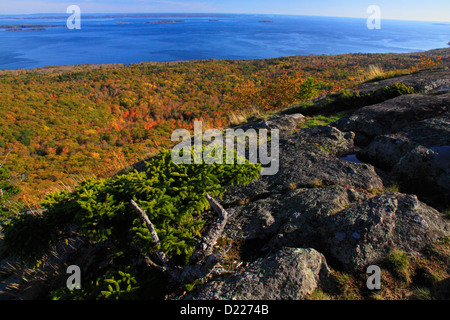 Avis de Penobscot Bay de Bald Rock Mountain Trail, Camden, Maine, USA Banque D'Images