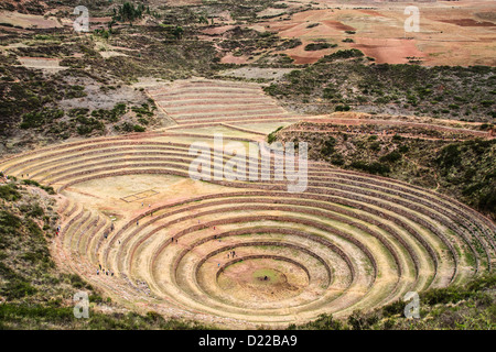 Ruines de Moray, Cusco, Pérou, situé près de la ville de Cusco. On peut supposer que le laboratoire de l'Agriculture des Incas Banque D'Images