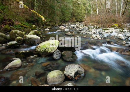 Wallace Falls State Park, Washington, USA Banque D'Images