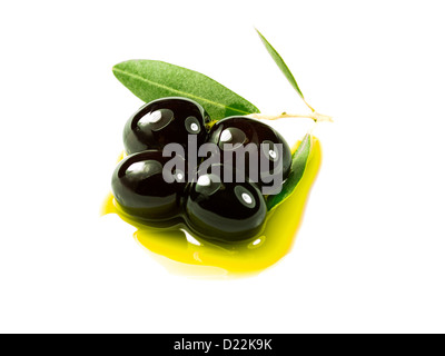 Une branche d'olivier avec trois olives premium sur l'huile d'olive sur un fond blanc. Banque D'Images