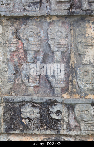 Crânes sculptés en pierre sur le Tzompantli à Chichen Itza, Yucatan, Mexique Banque D'Images