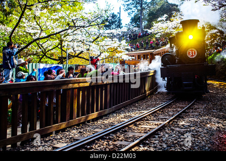 Train sur la voie ferrée serpentant à travers forêt Banque D'Images