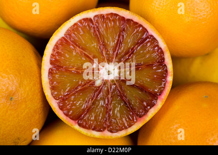 Citrus x sinenesis. Orange sanguine dans un bol de fruits. Banque D'Images