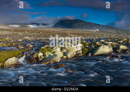 Rivière près de Snøheim, et la montagne Snøhetta dans la brume, 2286 m, dans le parc national de Dovrefjell, la Norvège. Banque D'Images