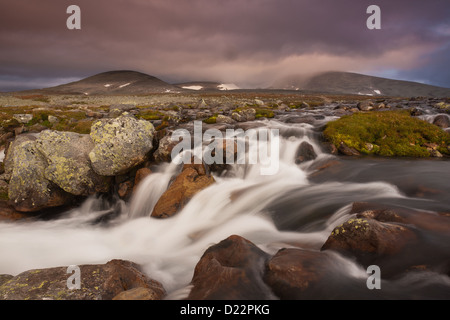 Rivière près de Snøheim, et la montagne Snøhetta dans la brume, 2286 m, dans le parc national de Dovrefjell, la Norvège. Banque D'Images