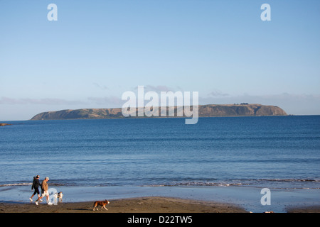 Les résidants locaux de Titahi Bay à pied leurs chiens sur la plage, avec l'île de Mana dans l'arrière-plan. Banque D'Images