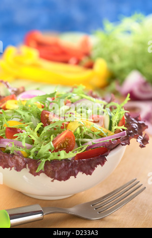 Salade fraîche de feuilles de laitue rouge, la jeune niçoise (frisée), tomate cerise, concombre, oignon rouge, poivron rouge et jaune Banque D'Images