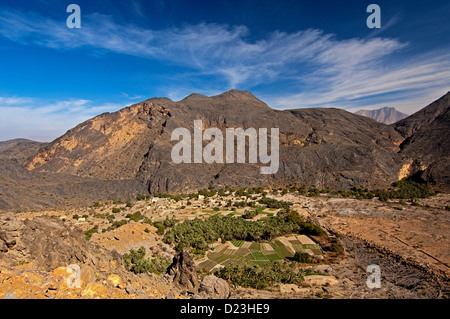 La HASM oasis au pied des montagnes Hajar Al stérile, Sultanat d'Oman Banque D'Images